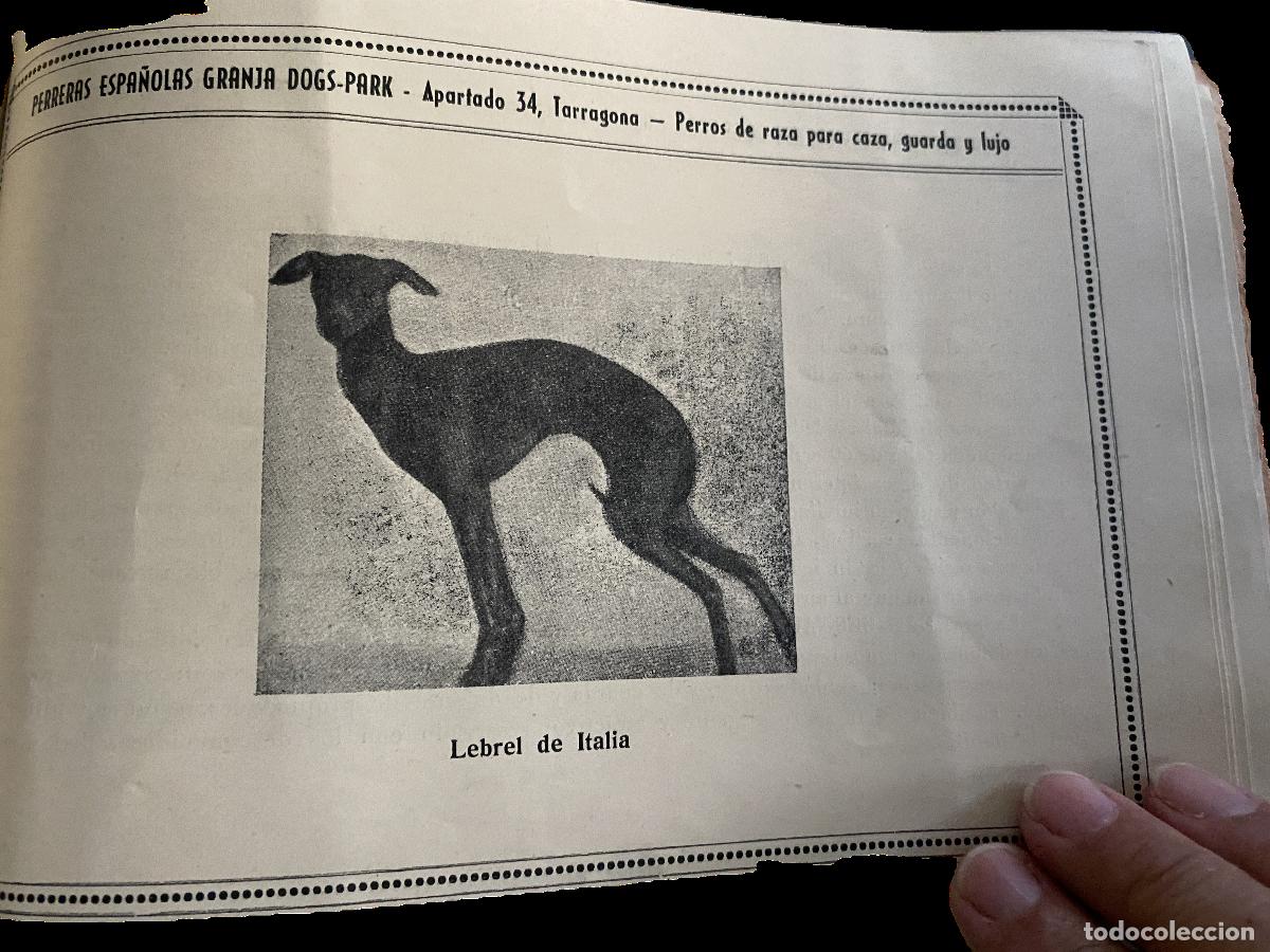 Coleccionismo &aacute;lbum: &Aacute;lbum general ilustrado de perros de raza - Foto 7