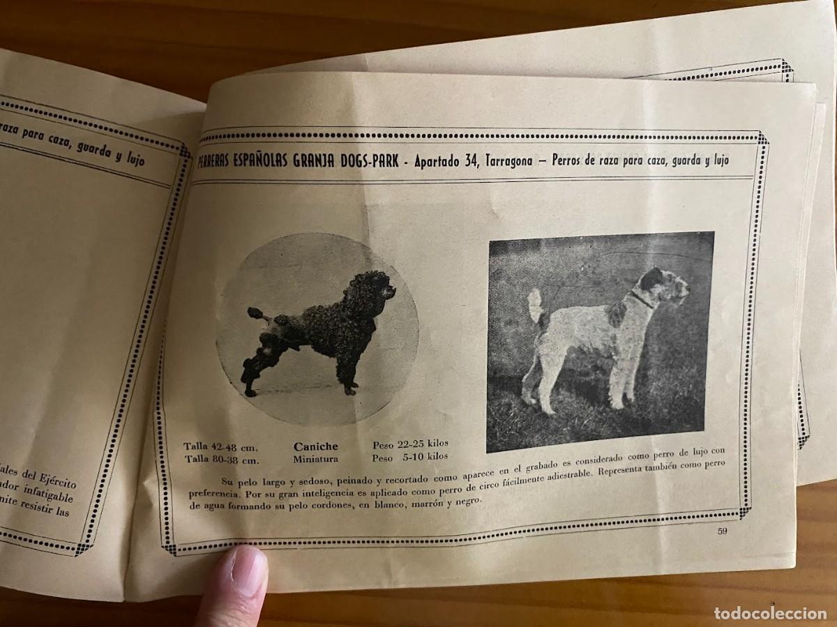 Coleccionismo &aacute;lbum: &Aacute;lbum general ilustrado de perros de raza - Foto 9
