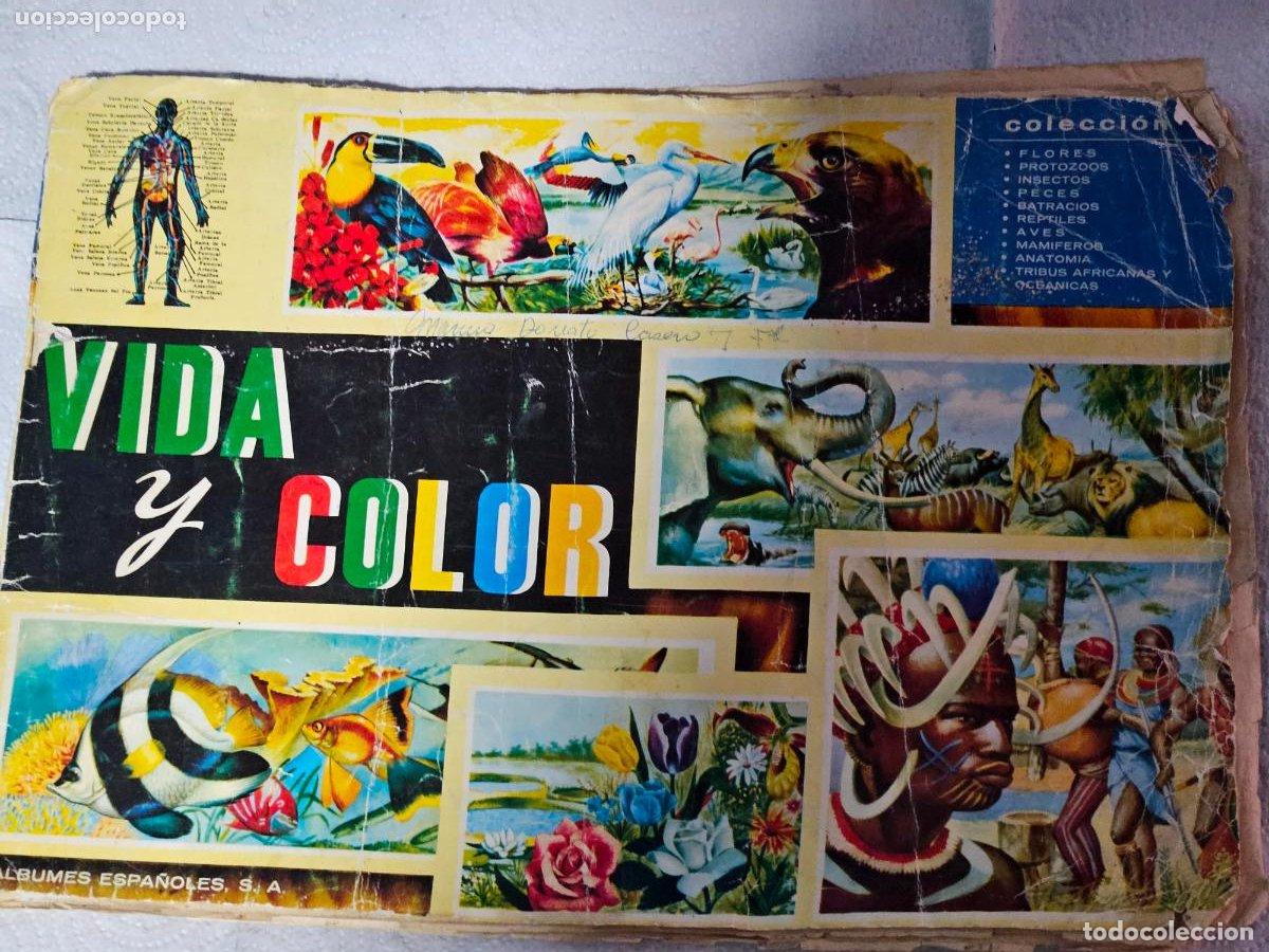 Coleccionismo &aacute;lbum: LOTE DE 379 CROMOS DE 380 DEL ALBUM VIDA Y COLOR - LEER ANUNCIO