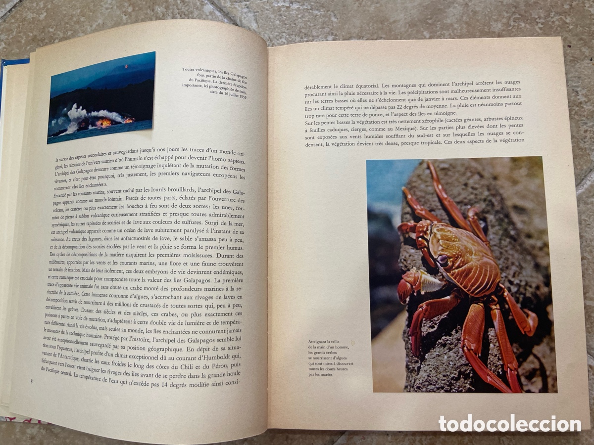 Coleccionismo &aacute;lbum: &Icirc;les du Pacifique(&rdquo;Islas del Pac&iacute;fico, Islas del Sol&rdquo;). - Foto 4