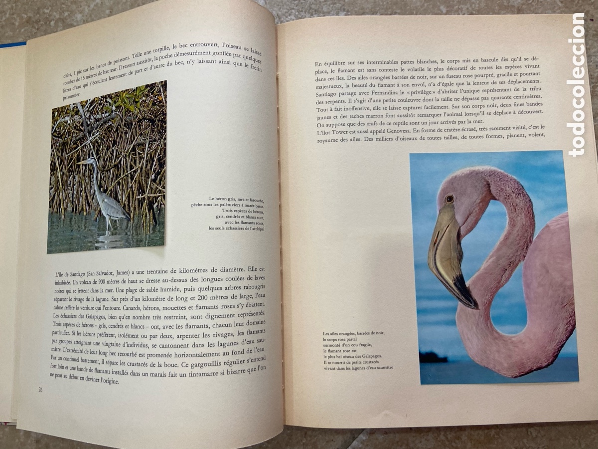 Coleccionismo &aacute;lbum: &Icirc;les du Pacifique(&rdquo;Islas del Pac&iacute;fico, Islas del Sol&rdquo;). - Foto 5