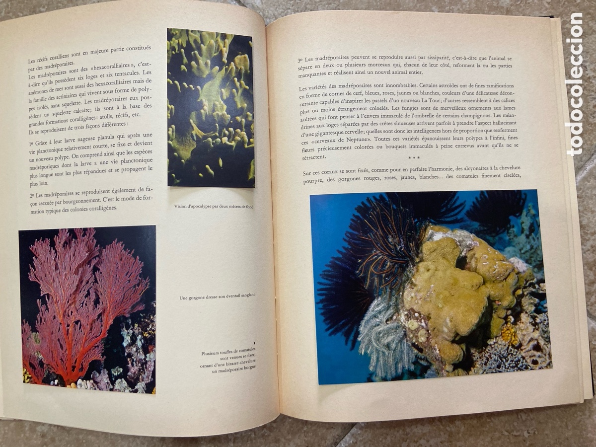 Coleccionismo &aacute;lbum: &Icirc;les du Pacifique(&rdquo;Islas del Pac&iacute;fico, Islas del Sol&rdquo;). - Foto 6