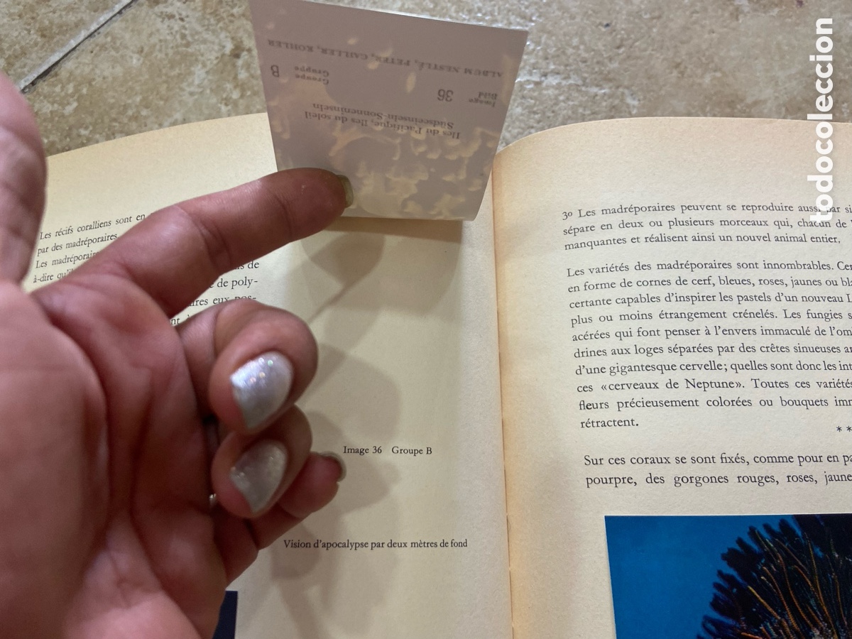 Coleccionismo &aacute;lbum: &Icirc;les du Pacifique(&rdquo;Islas del Pac&iacute;fico, Islas del Sol&rdquo;). - Foto 7