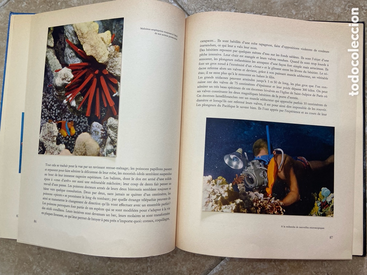 Coleccionismo &aacute;lbum: &Icirc;les du Pacifique(&rdquo;Islas del Pac&iacute;fico, Islas del Sol&rdquo;). - Foto 8
