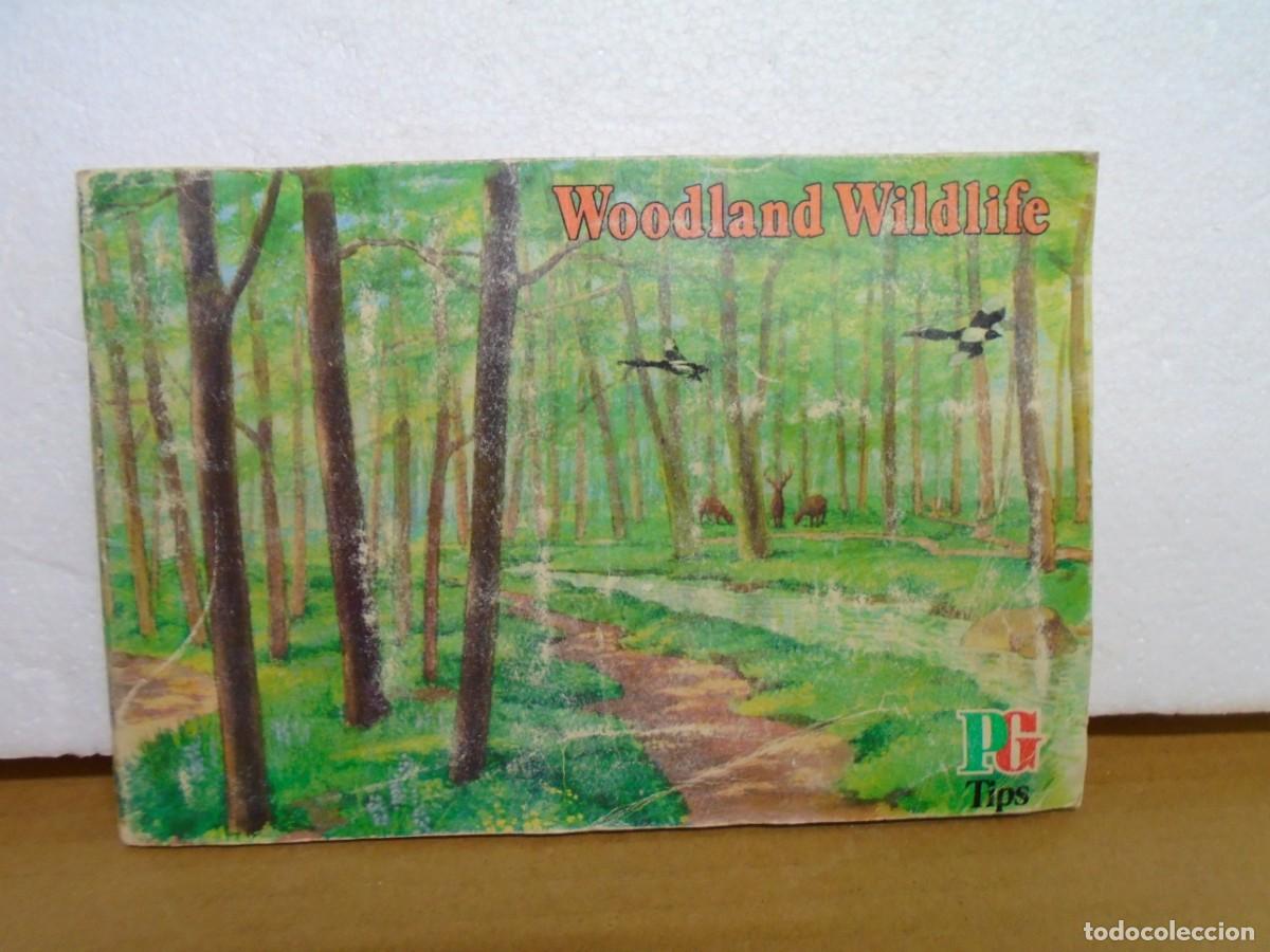 Coleccionismo &aacute;lbum: ALBUM INGLES&rdquo;LA VIDA SALVAJE EN EL BOSQUE&rdquo;WOODLAND WILDLIFE,A&Ntilde;OS 70.COMPLETA.