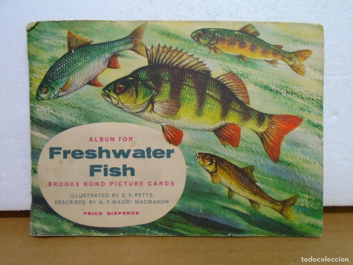 Coleccionismo &aacute;lbum: ALBUM INGLES&rdquo;PECES DE AGUA DULCE&rdquo;(1960)BROOKE BOND(TE)COMPLETO,50 CROMOS.
