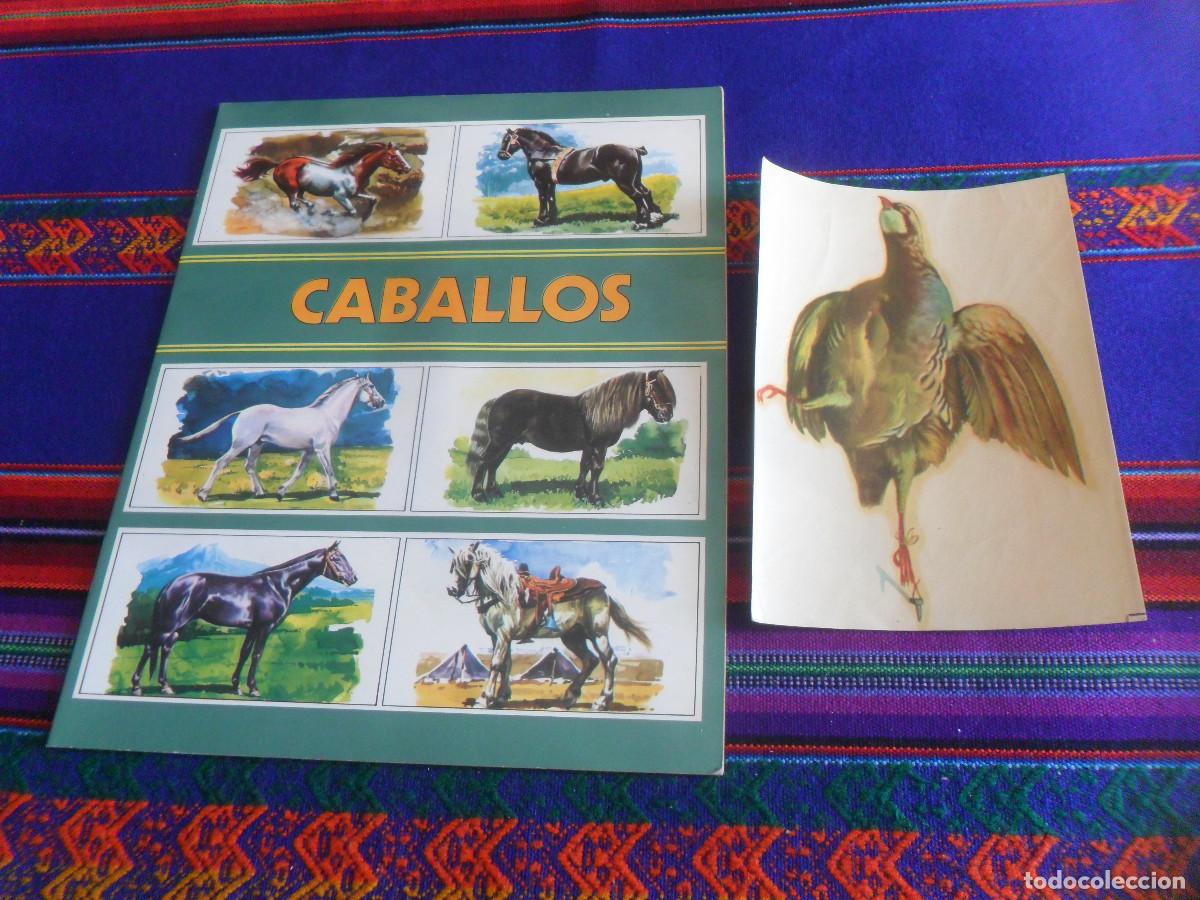 Coleccionismo &aacute;lbum: COLECCI&Oacute;N ZOO CABALLOS COMPLETO SUSAETA 1973. REGALO CALCOMAN&Iacute;AS INDUSTRIALES NUBIOLA N&ordm; 258. MBE.