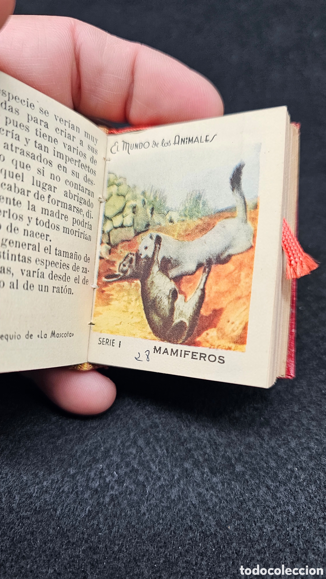 Coleccionismo &aacute;lbum: Colecci&oacute;n completa de cromos LA MASCOTA ( Mam&iacute;fero) el mundo de los animales