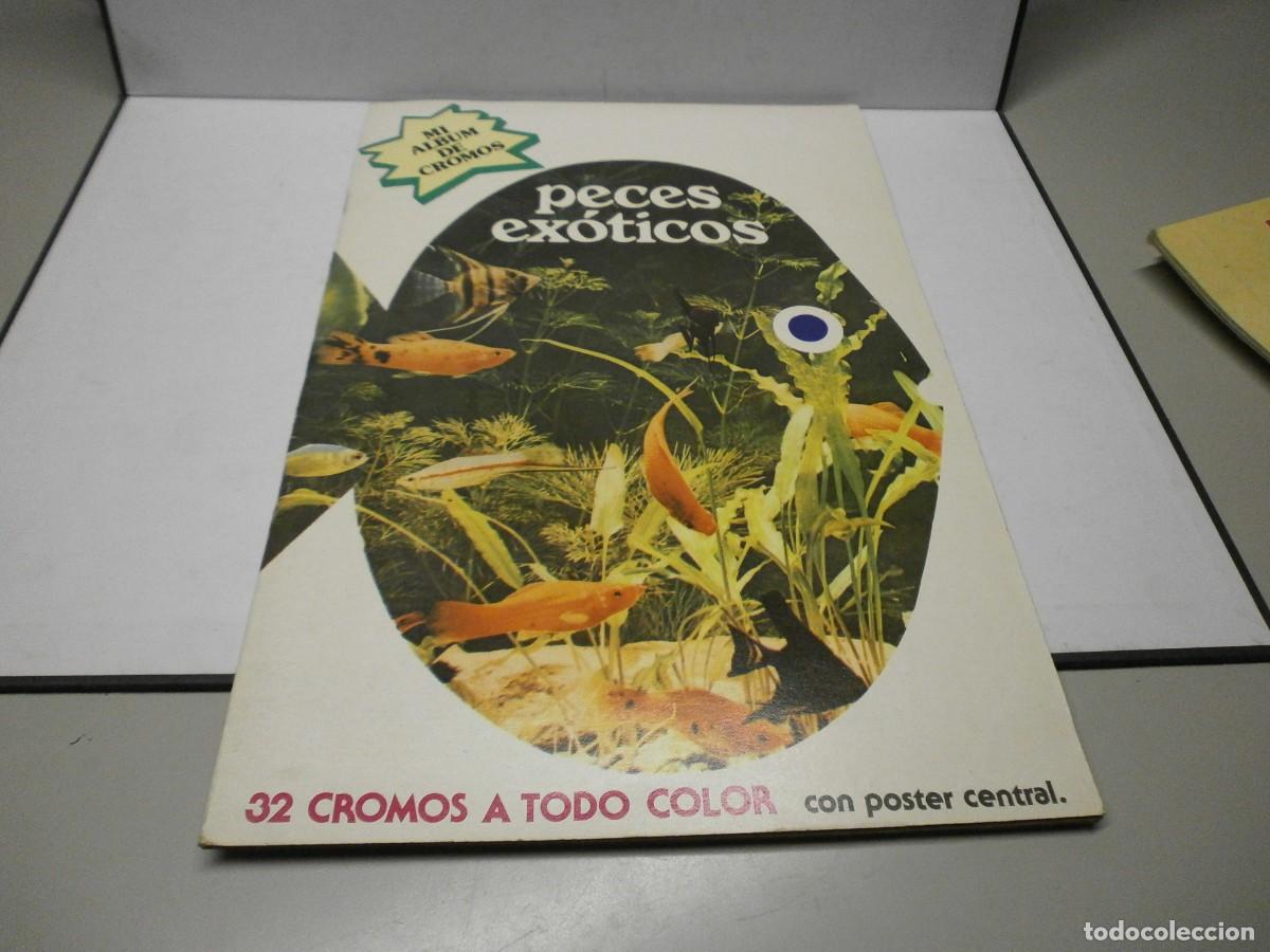 Coleccionismo &aacute;lbum: album completo peces exoticos editorial nueva situacion con los cromos aun sin pegar a&ntilde;o 1979