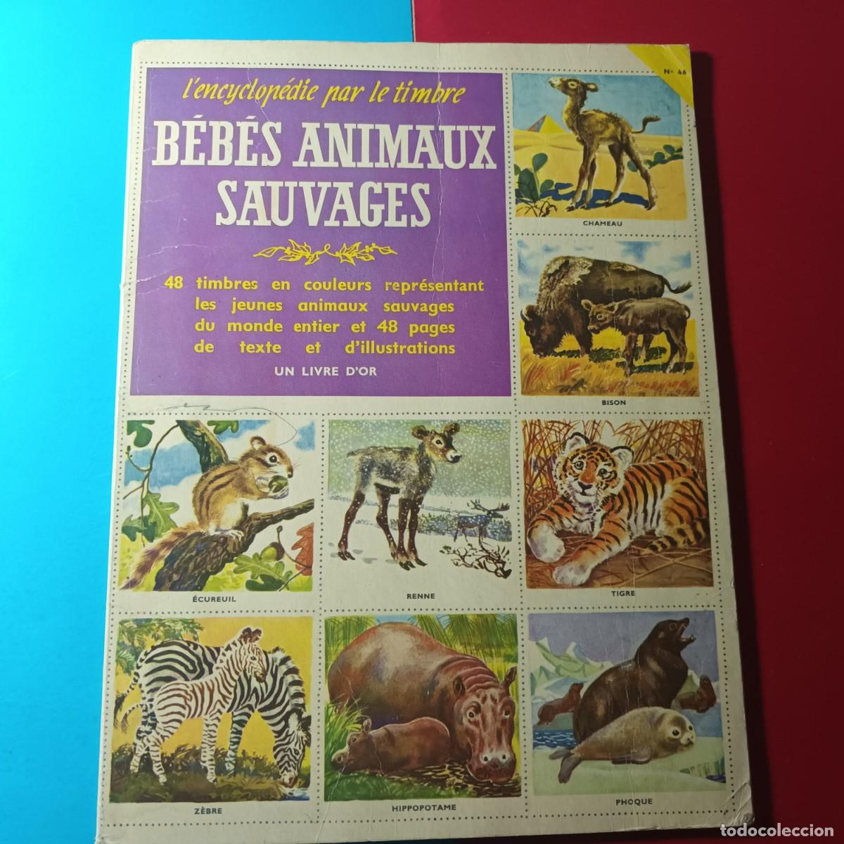Collectionnisme Album: Album Bebes Animaux Sauvages. Comple. A- 99