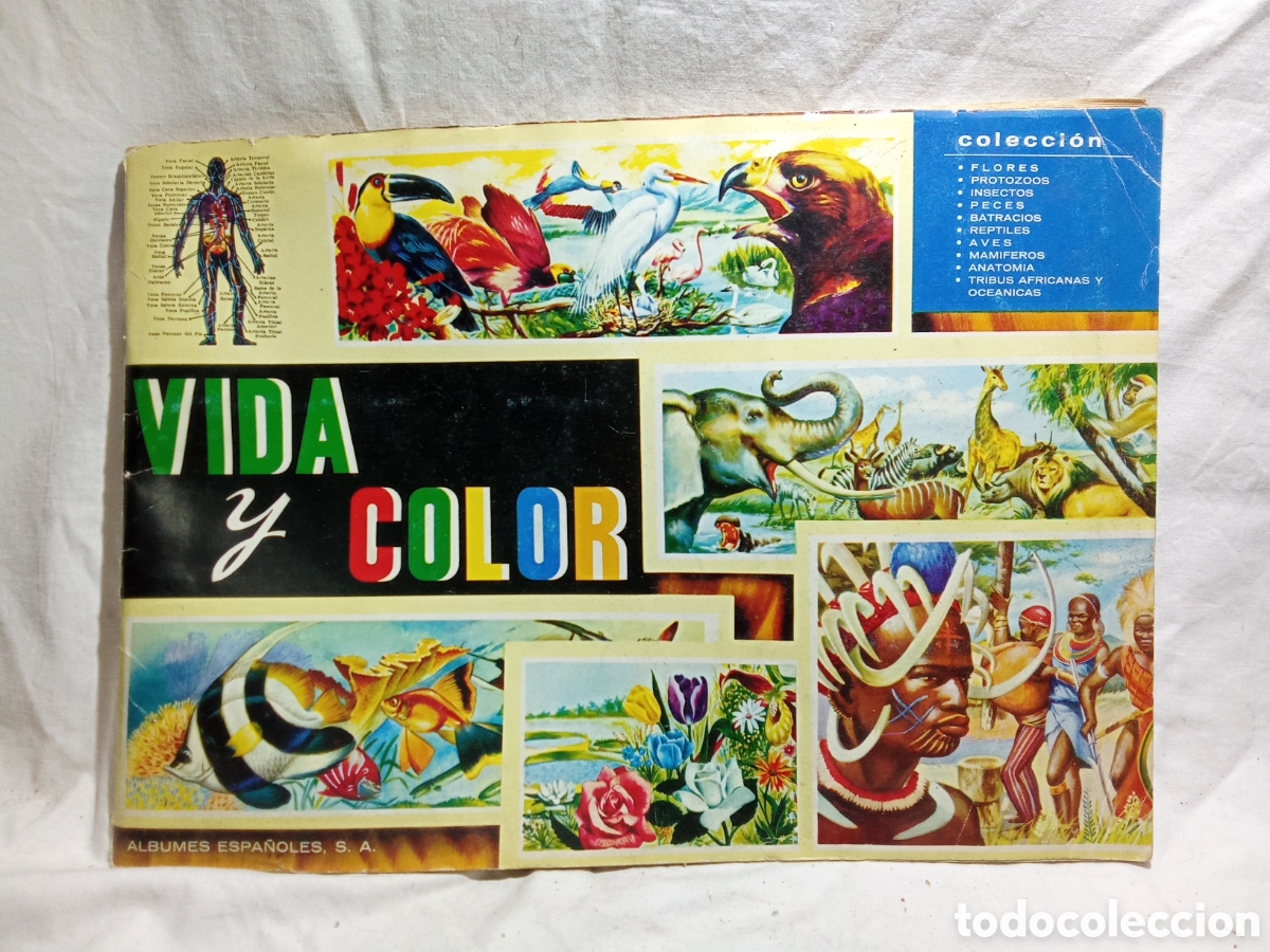 Collectionnisme Album: &Aacute;LBUM COMPLETO VIDA Y COLOR DE &Aacute;LBUMES ESPA&Ntilde;OLES
