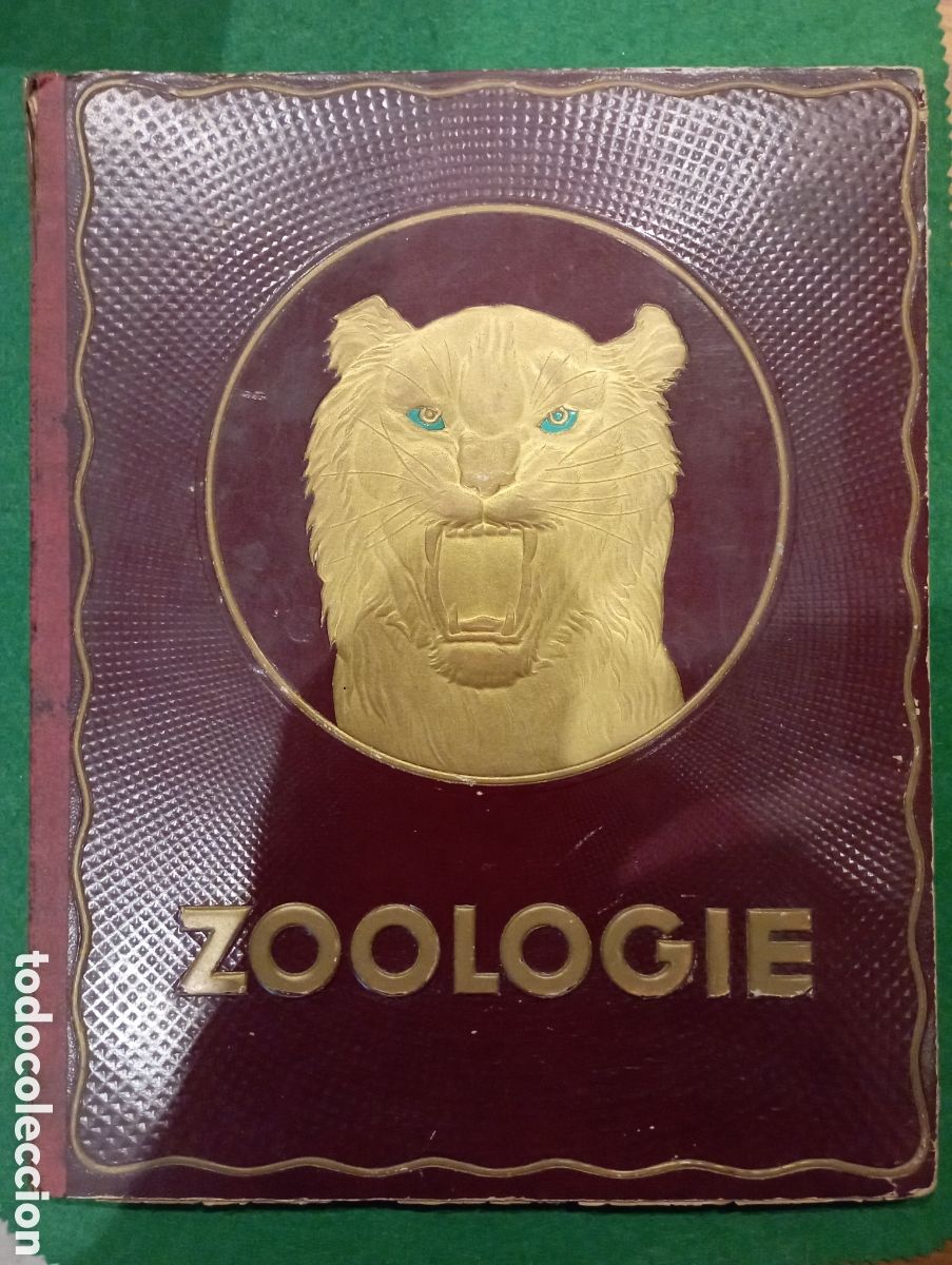 Coleccionismo &aacute;lbum: &Aacute;lbum de cromolitograf&iacute;as completo &rdquo;Zoolog&iacute;e&rdquo; Chocolate Kwatta. 200 cromos