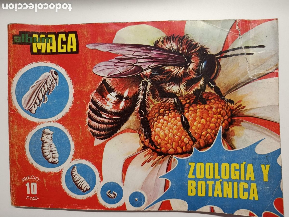 Coleccionismo &aacute;lbum: Album completo Zoologia y Botanica Maga . 1969