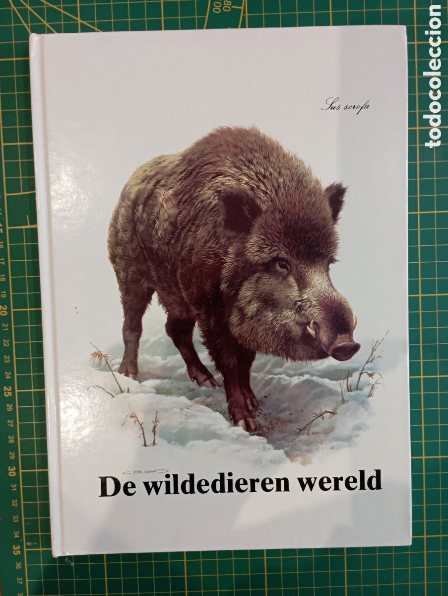 Coleccionismo &aacute;lbum: &aacute;lbum de l&aacute;minas cromos completo de animales &rdquo;la vida salvaje&rdquo; con 30 l&aacute;minas 25x20 cm. Ver listado