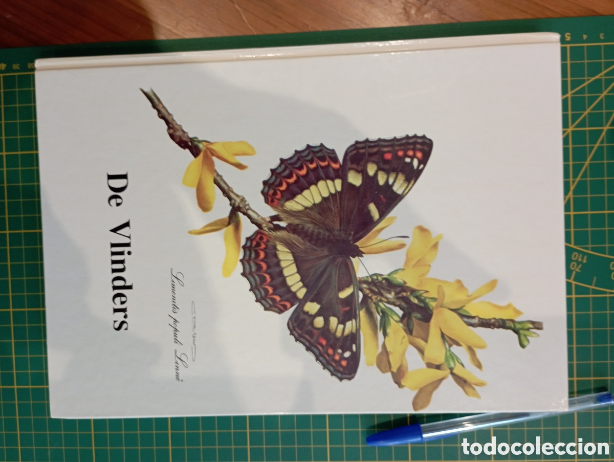 Coleccionismo &aacute;lbum: Libro &aacute;lbum de l&aacute;minas cromos completo de &rdquo;mariposas&rdquo; con 60 l&aacute;minas 25x20 cm. Ver listado