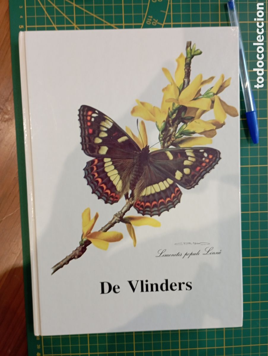 Coleccionismo &aacute;lbum: Libro &aacute;lbum de l&aacute;minas cromos completo de &rdquo;mariposas&rdquo; con 60 l&aacute;minas 25x20 cm. Ver listado