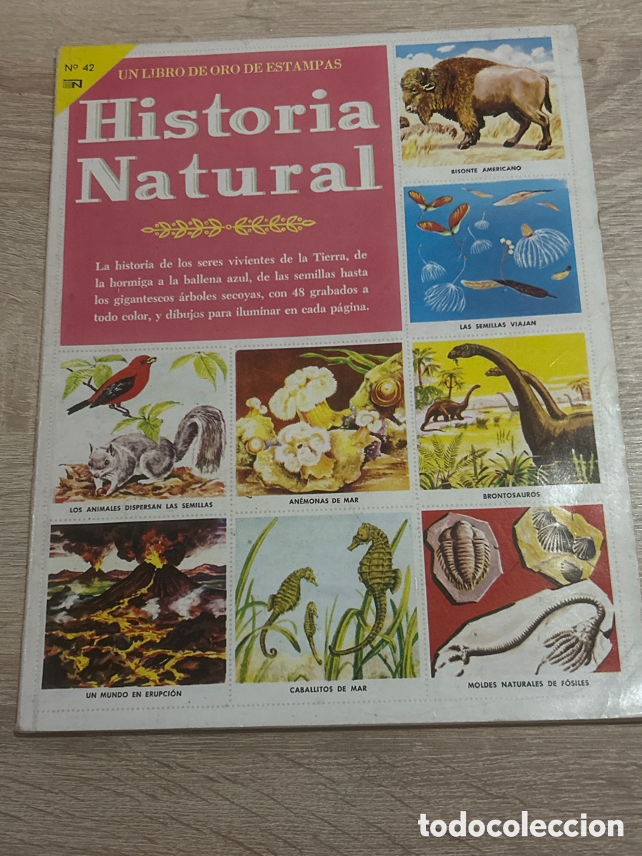 Coleccionismo &aacute;lbum: &Aacute;lbum completo libro de estampas historia natural