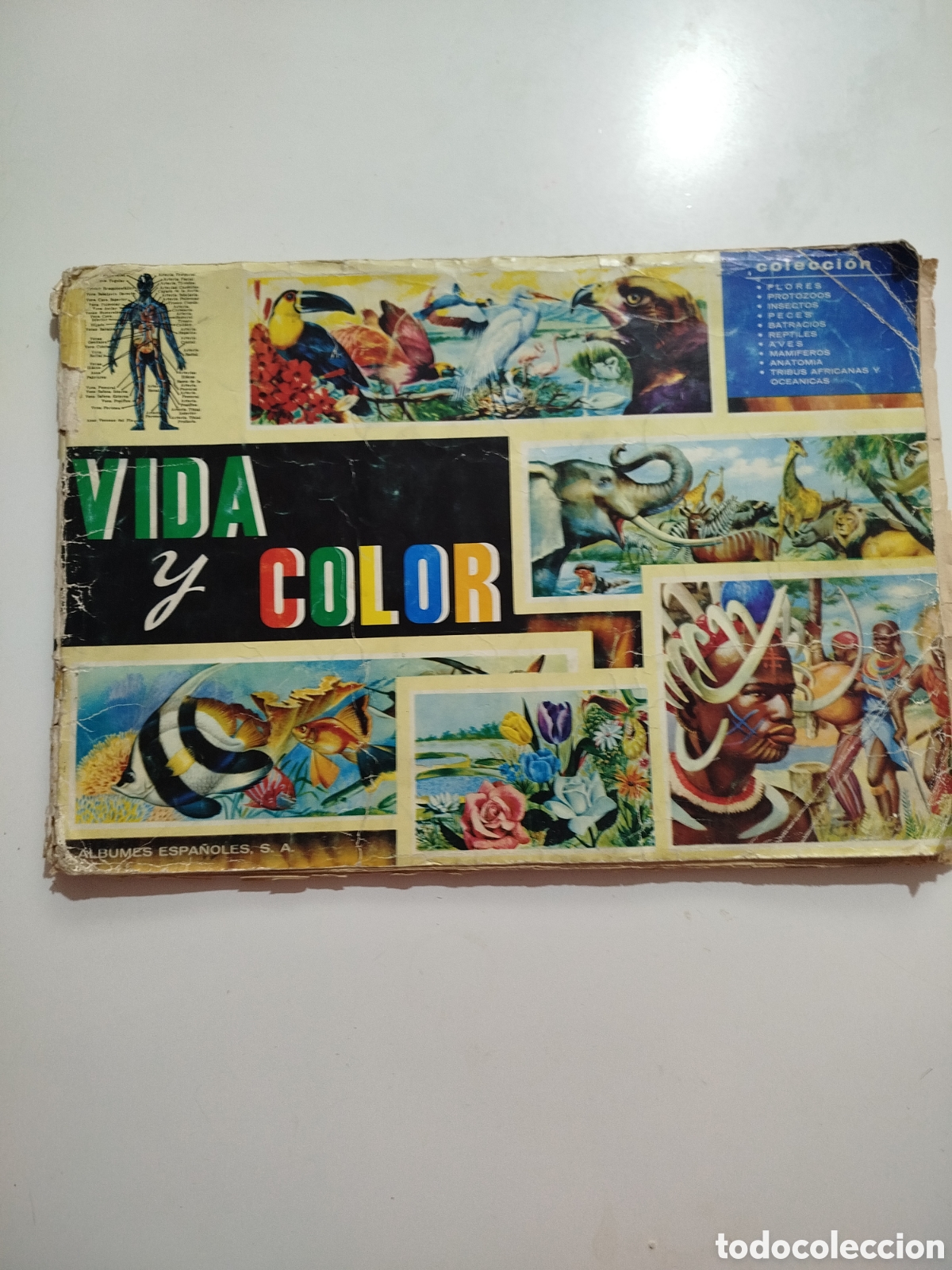 Coleccionismo &aacute;lbum: ALBUM VIDA Y COLOR.COMPLETO