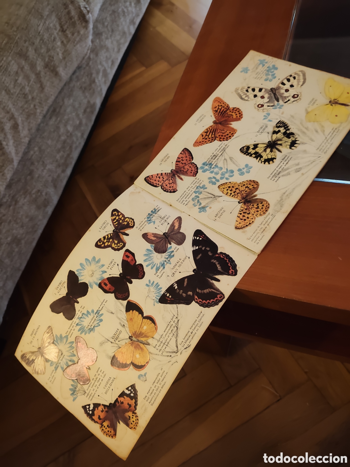 Coleccionismo &aacute;lbum: Coleccion Mariposas Panrico - Foto 2