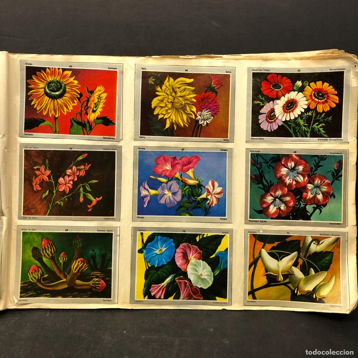 Coleccionismo &aacute;lbum: ALBUM DE CROMOS - VIDA Y COLOR - &Aacute;LBUMES ESPA&Ntilde;OLES - 1970 - COMPLETO DEL 1 AL 496 / 627