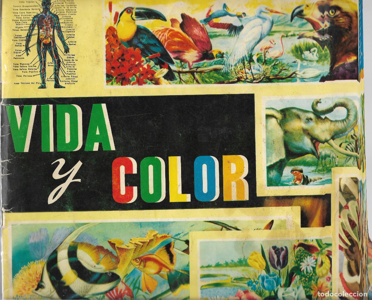 Coleccionismo &aacute;lbum: VIDA Y COLOR. &Aacute;LBUMES ESPA&Ntilde;OLES, 1965. &iexcl;&iexcl;COMPLETO!!. (C/35 RUM)