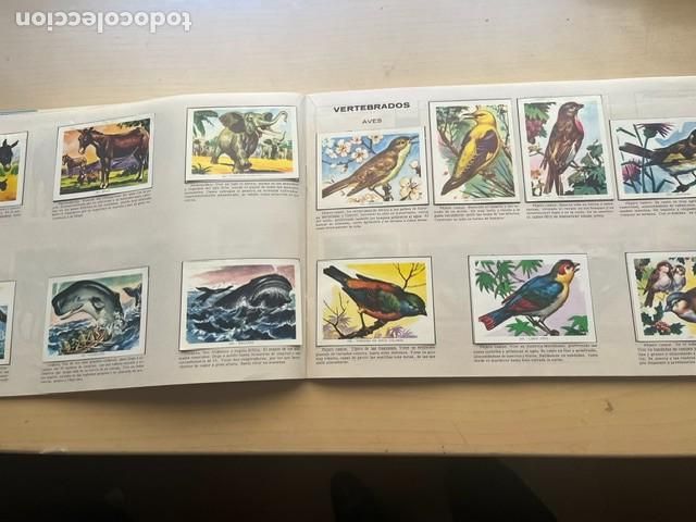 Coleccionismo &aacute;lbum: CIENCIA Y ARTE IMPECABLE - Foto 5
