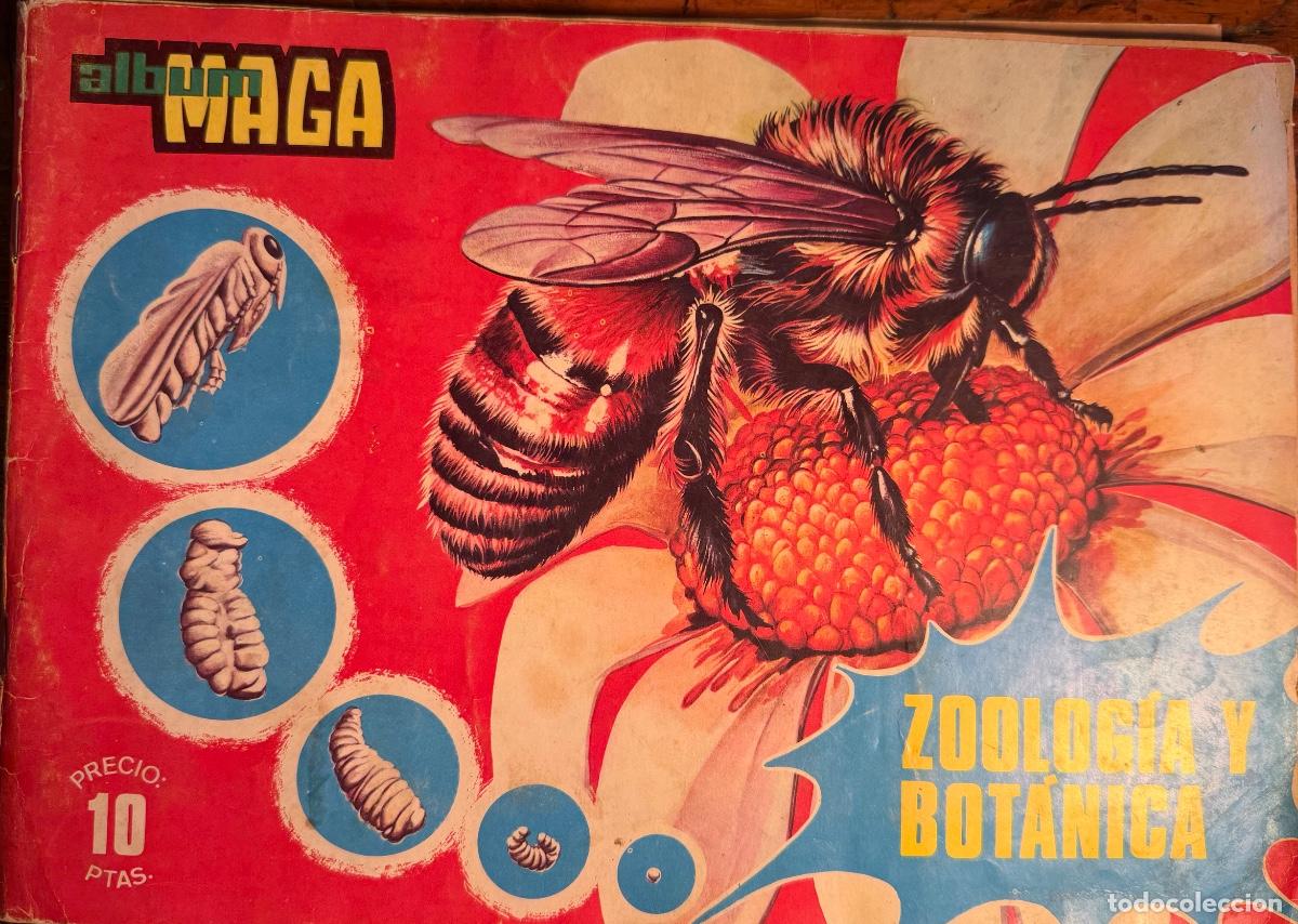 Coleccionismo &aacute;lbum: ALBUM MAGA ZOOLOG&Iacute;A Y BOT&Aacute;NICA. COMPLETO