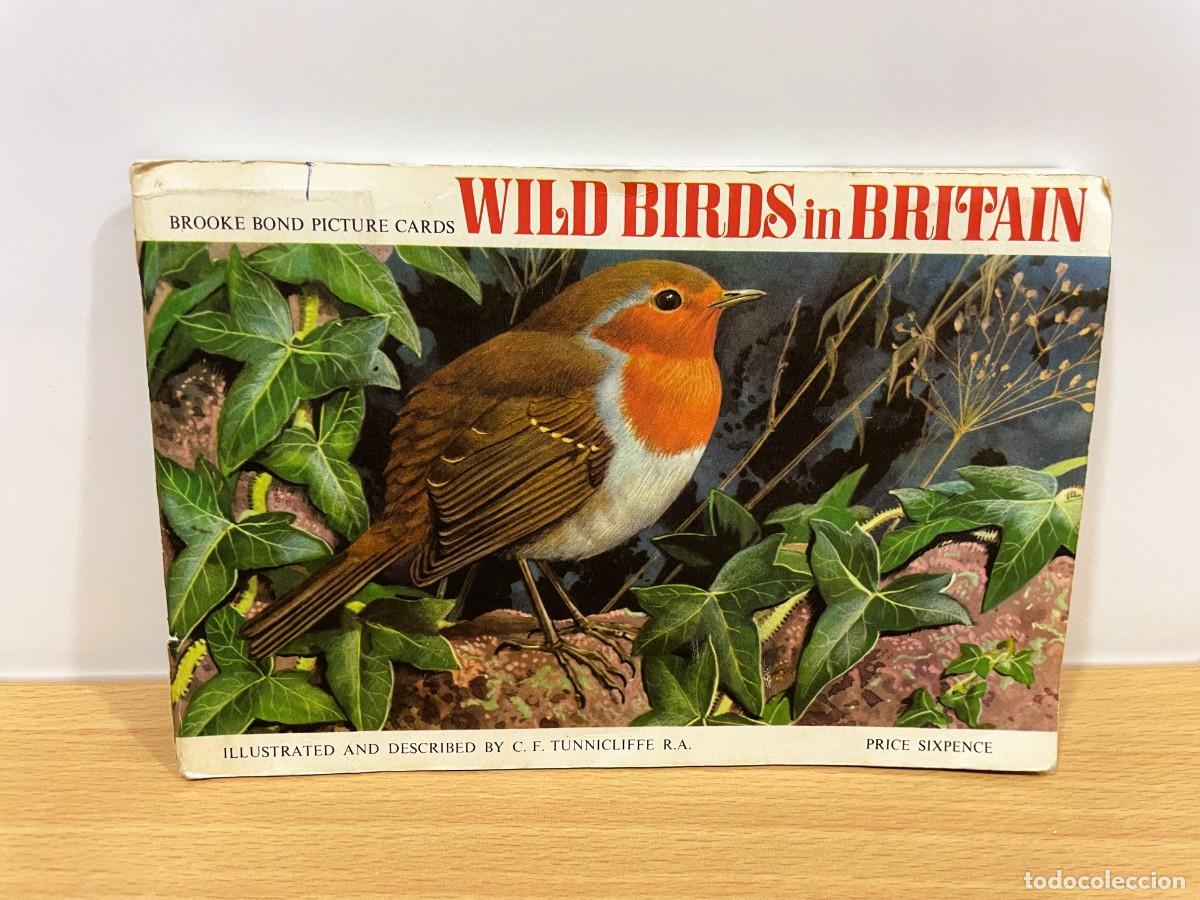 Coleccionismo &aacute;lbum: &Aacute;LBUM BRIT&Aacute;NICO COMPLETO CON 50 CROMOS DE BROOKE BOND TEA - WILD BIRDS IN BRITAIN