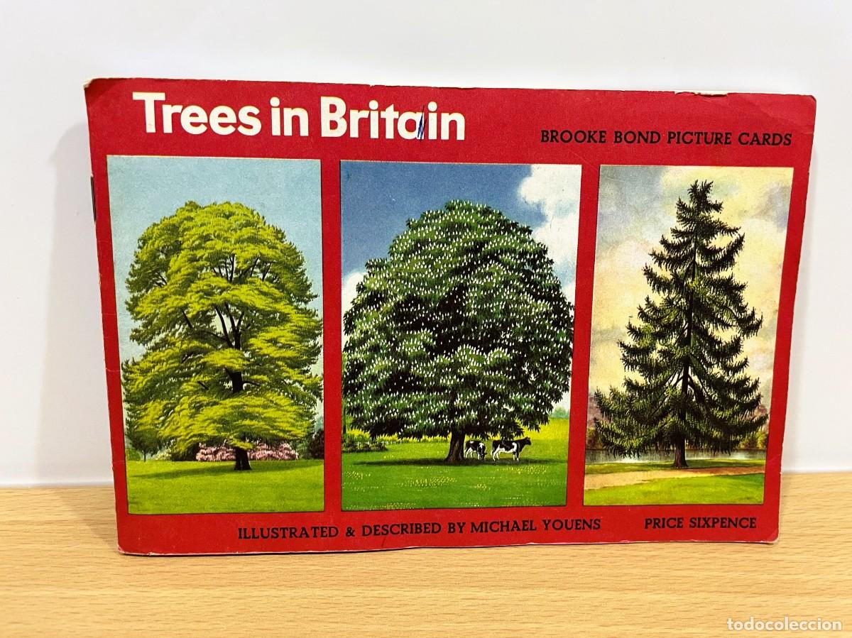 Coleccionismo &aacute;lbum: &Aacute;LBUM BRIT&Aacute;NICO COMPLETO CON 50 CROMOS DE BROOKE BOND TEA - TREES IN BRITAIN