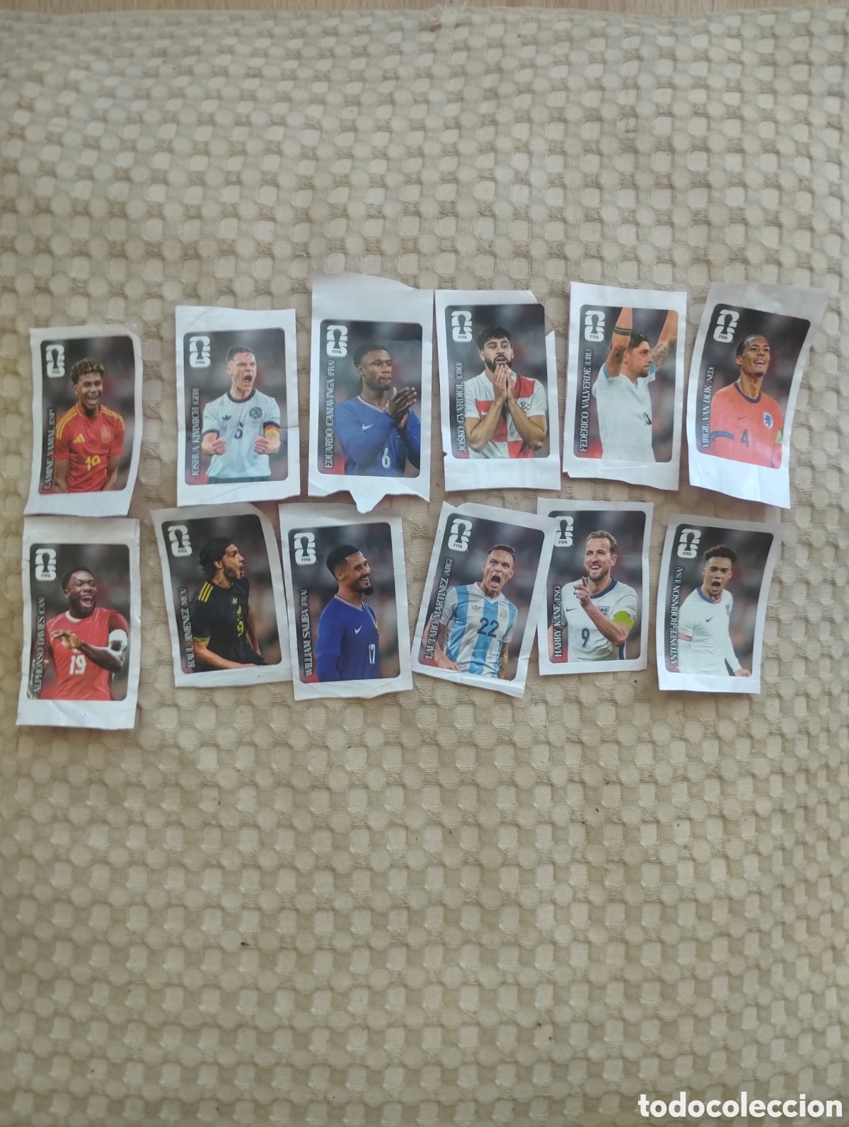 &Aacute;lbum de f&uacute;tbol completo: Colecci&oacute;n completa coca cola mundial 2026 panini