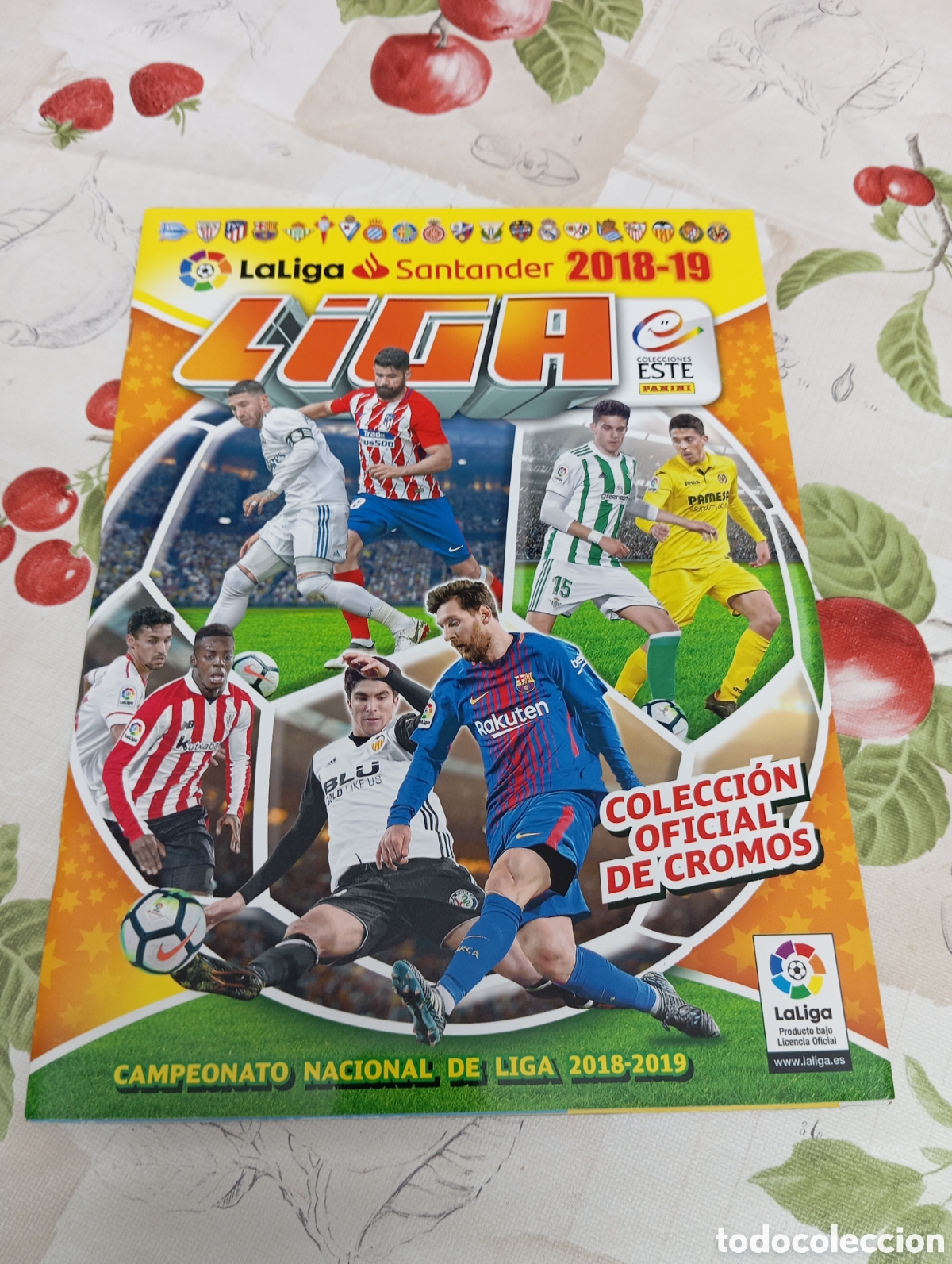 Coleccionismo deportivo: &Aacute;lbum vac&iacute;o plancha 2018 2019 Liga Este 18 19
