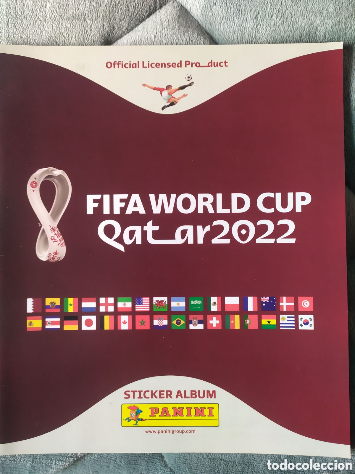 Sports collectibles: &Aacute;lbum FIFA World Cup Qatar 2022 panini nuevo vac&iacute;o plancha