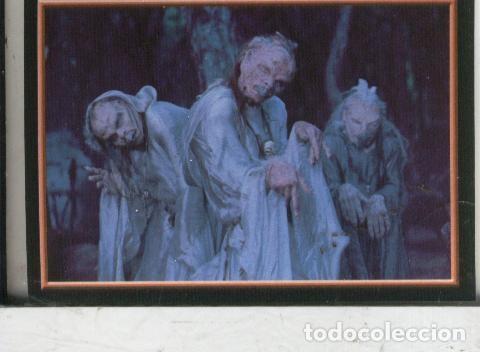 Sports collectibles: Cromos: Narnia numero 090 - Varios