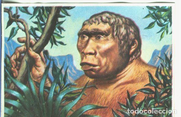 Colecionismo desportivo: Cromos: Historia Natural numero 127 - Varios