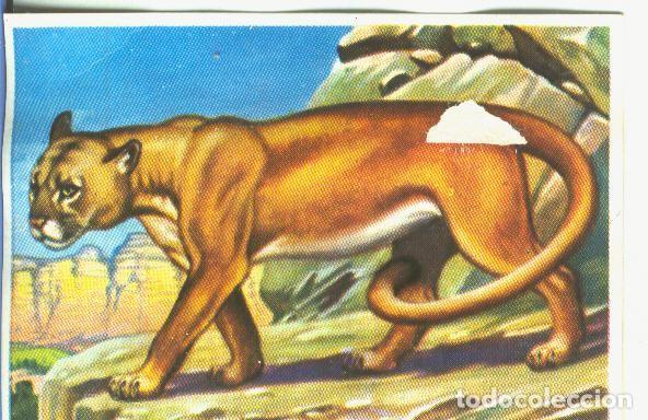 Colecionismo desportivo: Cromos: Historia Natural numero 167 - Varios