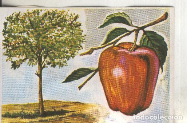 Collezionismo sportivo: Cromos: Historia Natural numero 418 - Varios