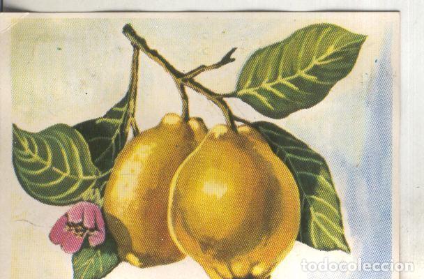 Coleccionismo deportivo: Cromos: Historia Natural numero 423 - Varios