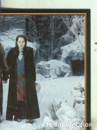 Collezionismo sportivo: Cromos: Narnia numero 054 - Varios