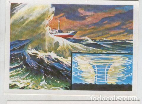 Coleccionismo deportivo: Cromos: Sabias que....? numero 20 - Varios