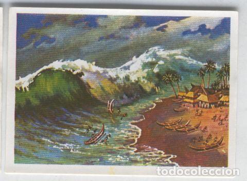 Coleccionismo deportivo: Cromos: Sabias que....? numero 72 - Varios