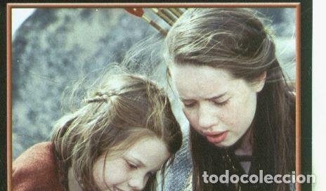 Sports collectibles: Cromos: Narnia numero 138 - Varios