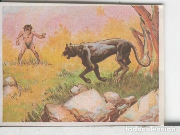 Sammelleidenschaft Sport: Cromos: Aventuras de Jorge, el Peque&ntilde;o Tarzan, autor Gigarpe numero 076 - Varios