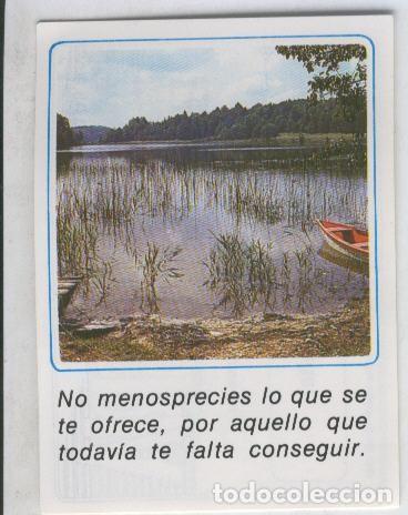 Coleccionismo deportivo: Cromos: Mensajes de Alegria numerado 12 - Varios