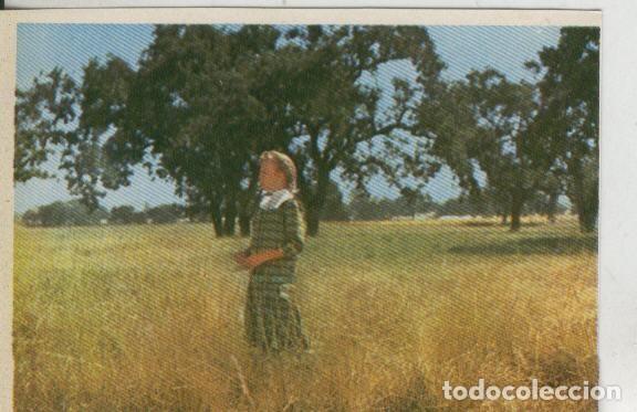 Collectionnisme sportif: Cromos: Pollyanna numero 149 - Varios