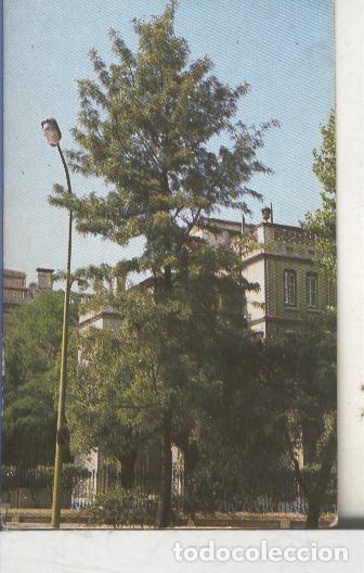 Sports collectibles: Cromos: Arbres de Barcelona numero 20.A: Grevillea - Varios