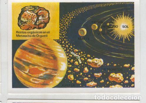 Sammelleidenschaft Sport: Cromos: Sabias que....? numero 48 - Varios