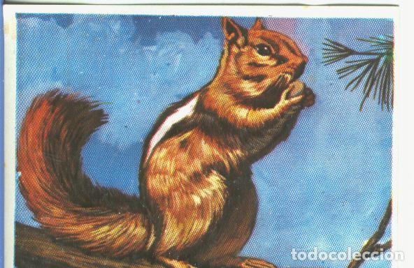 Collectionnisme sportif: Cromos: Historia Natural numero 169 - Varios