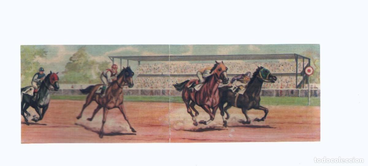 Coleccionismo deportivo: Cromos: de la Selva Misteriosa a los abismos del mar: numero 042-043: Miembros vigorosos buscan la v