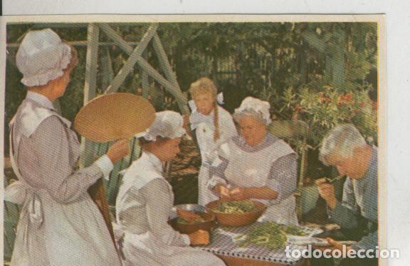 Collectionnisme sportif: Cromos: Pollyanna numero 078 - Varios