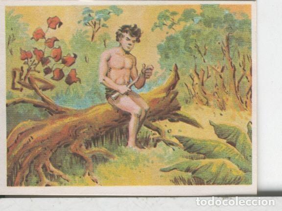 Sports collectibles: Cromos: Aventuras de Jorge, el Peque&ntilde;o Tarzan, autor Gigarpe numero 024 - Varios